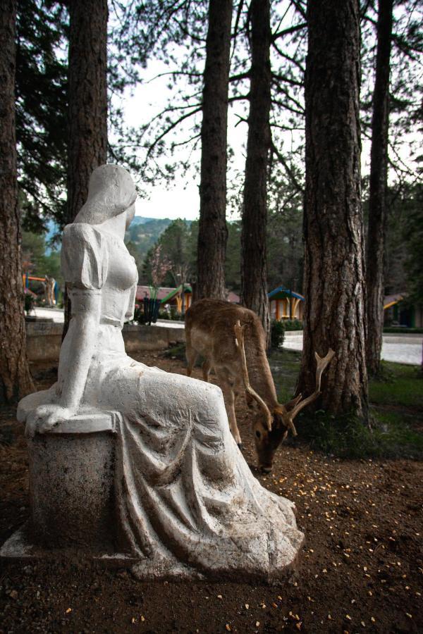 Te'Dreri - Llogora Tourist Village Dhërmi Kültér fotó